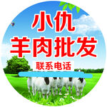 小仇羊肉批发联系电话