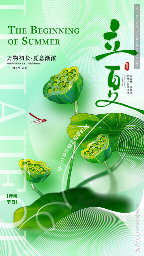 立夏海报