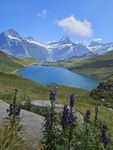 高山湖畔的美丽自然景致