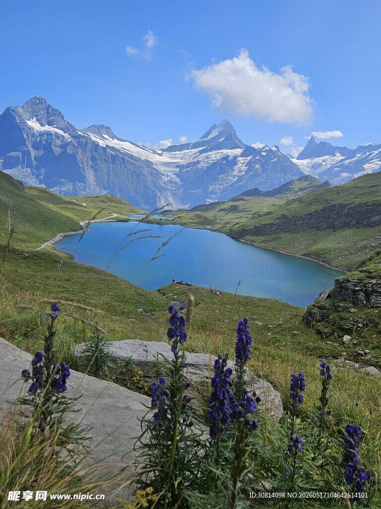 高山湖畔的美丽自然景致