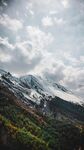 壮丽雪山下的多彩山林