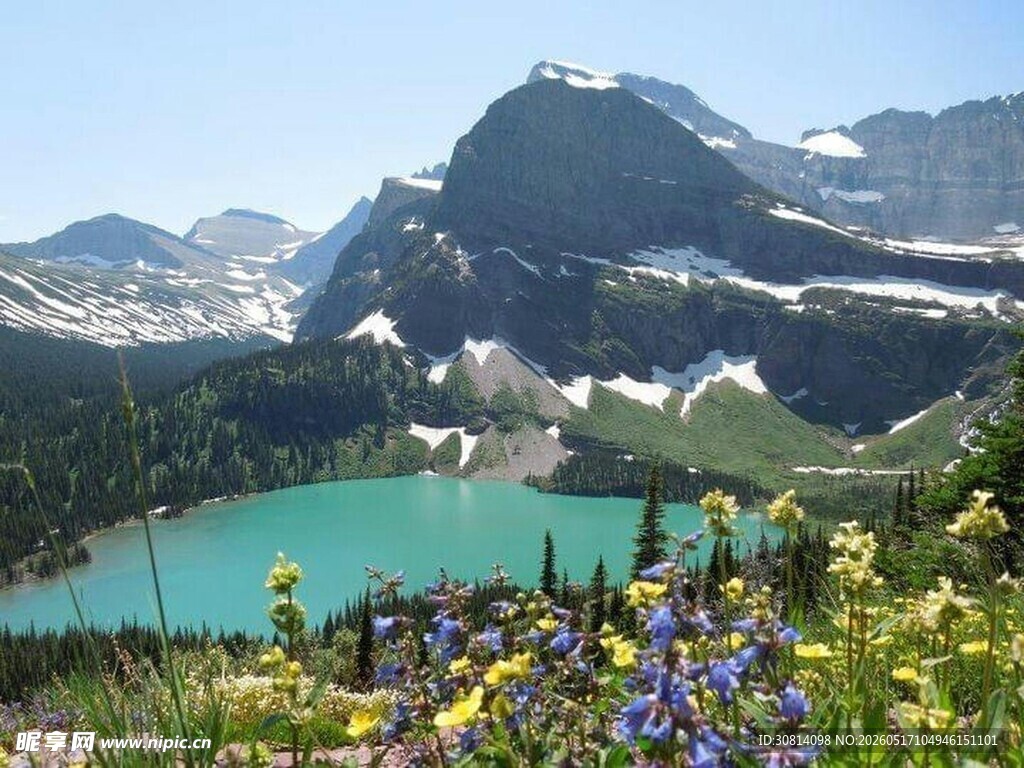 高山湖畔绚烂花海美景