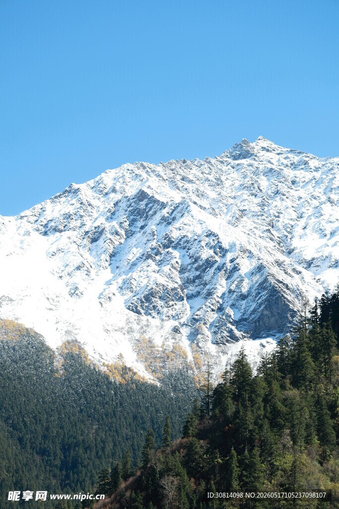 雪山森林美景