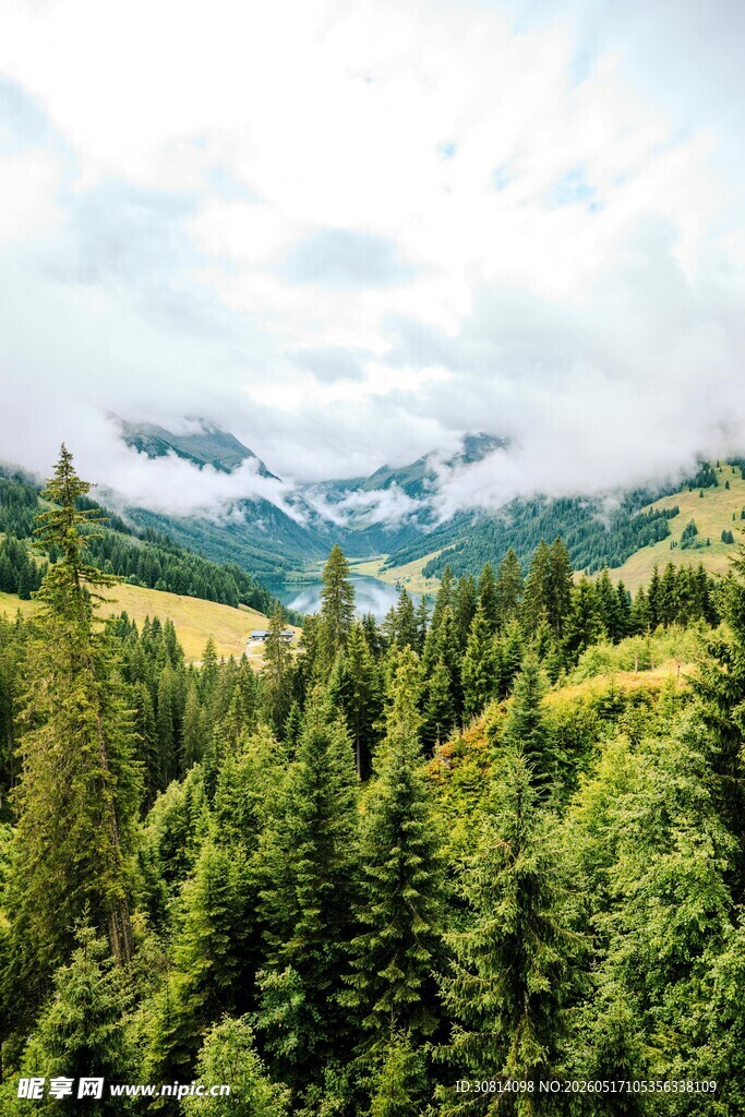 山间葱郁森林与远处山峦