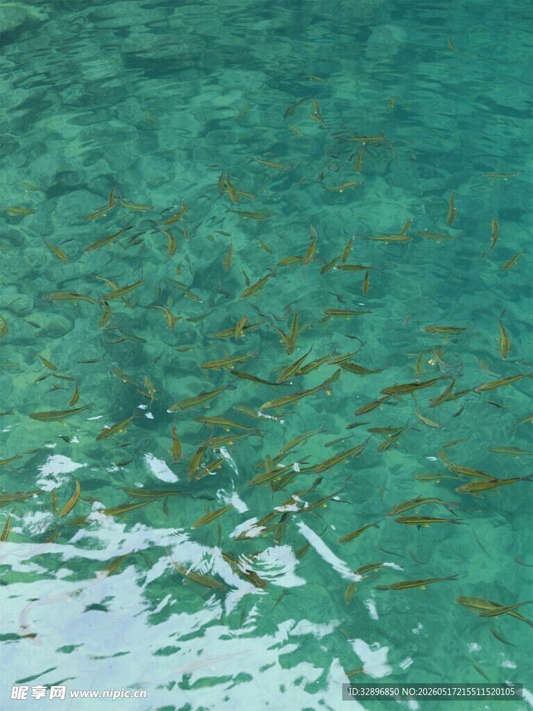 清澈水底景象