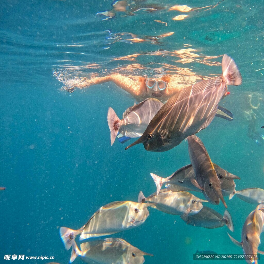 人龟共游的海底美妙瞬间