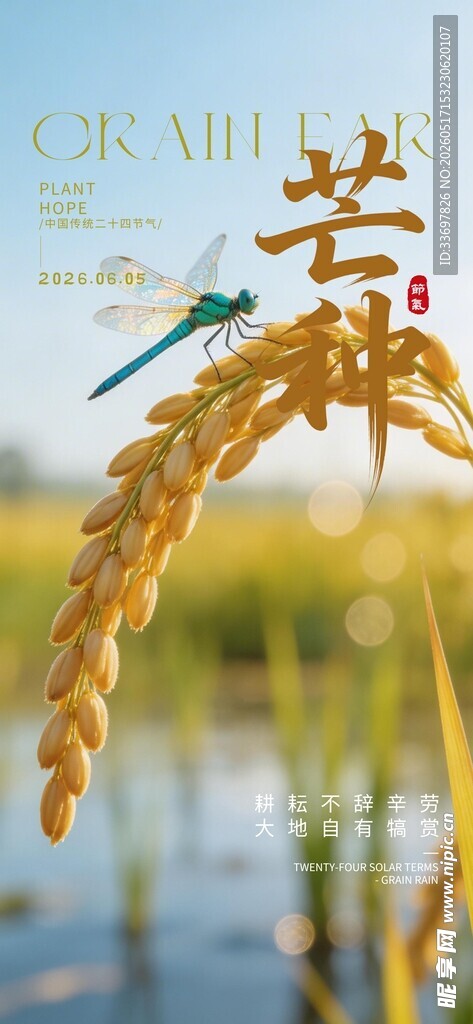 芒种
