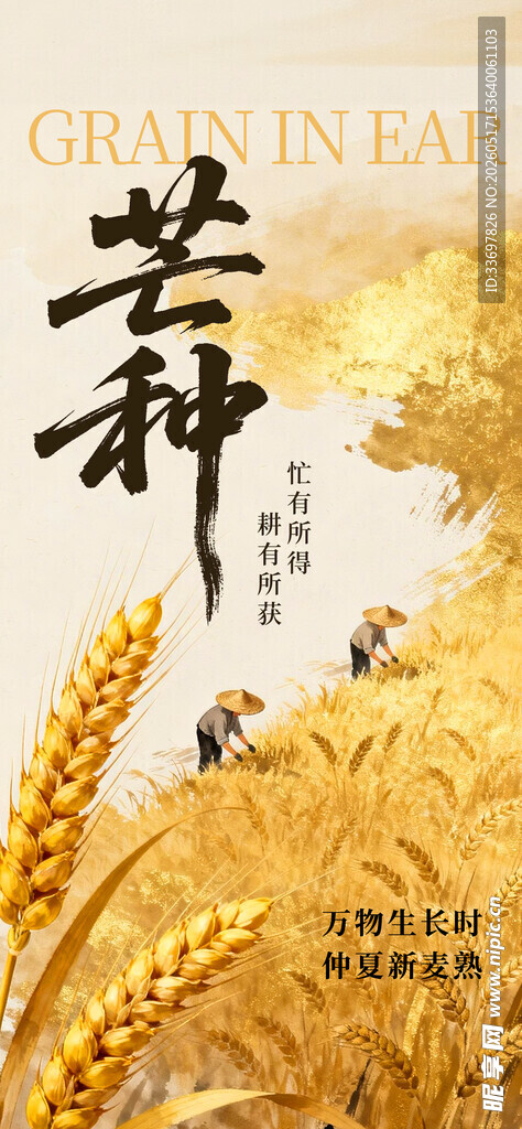 芒种