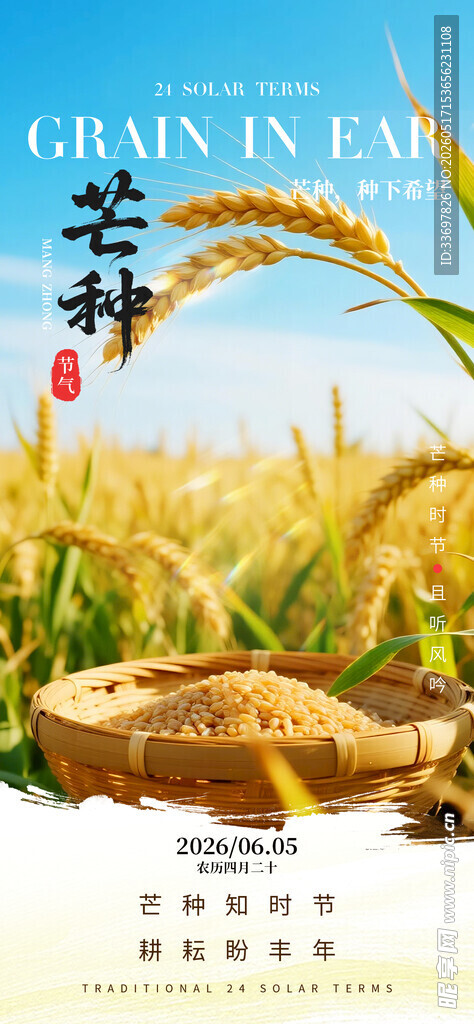 芒种