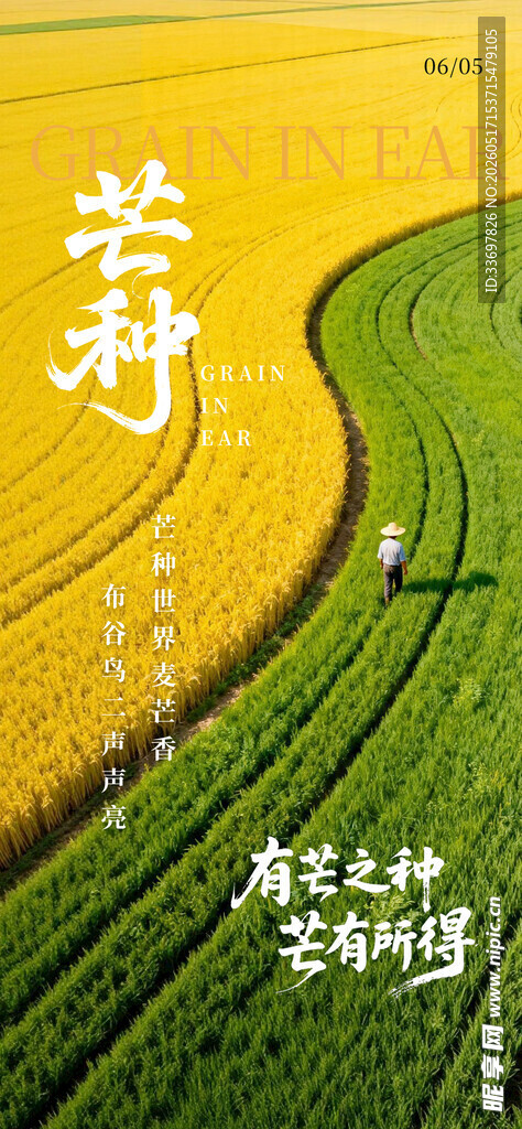 芒种