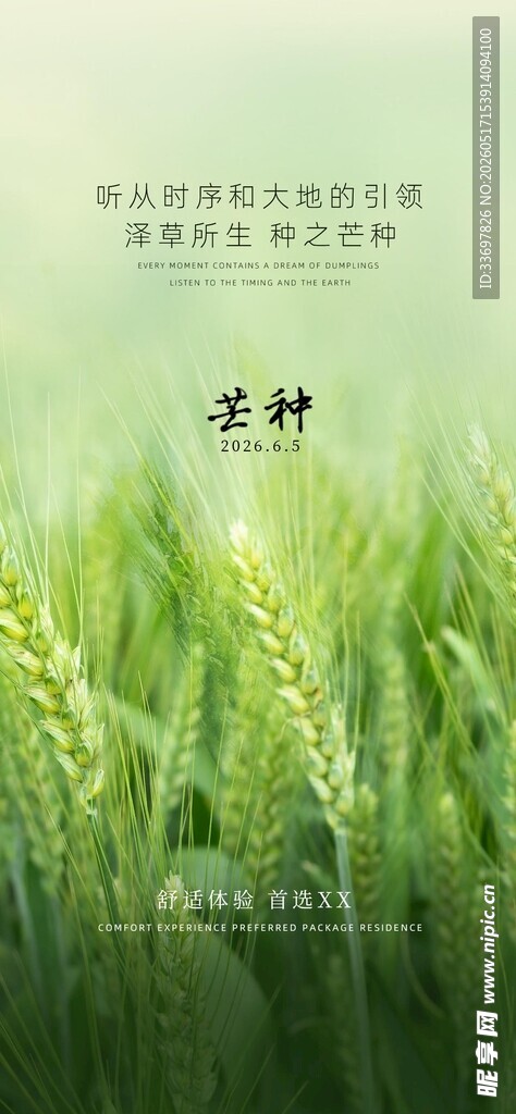 芒种