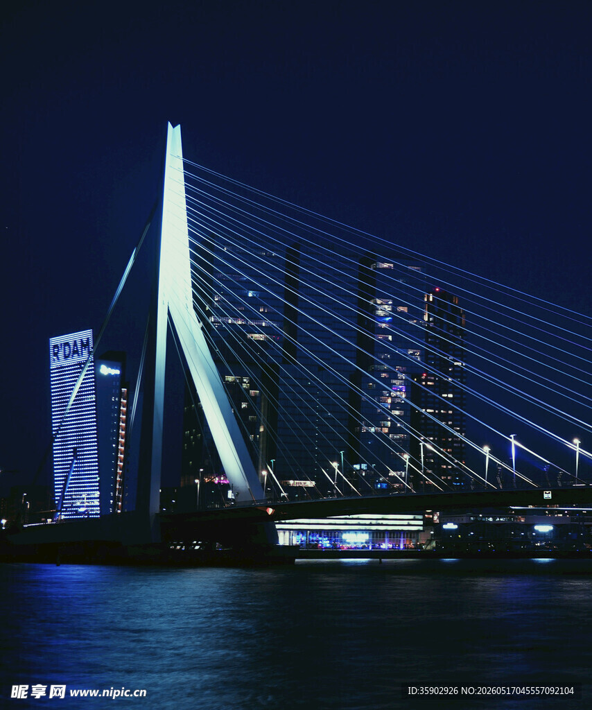 鹿特丹伊拉斯谟斯大桥夜景