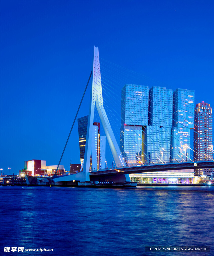 鹿特丹伊拉斯谟斯桥夜景
