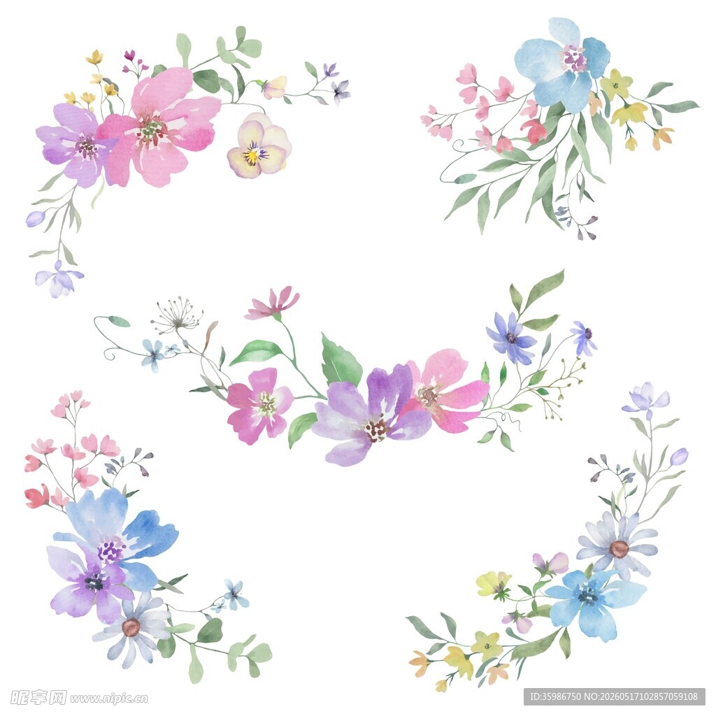 水彩花卉边框