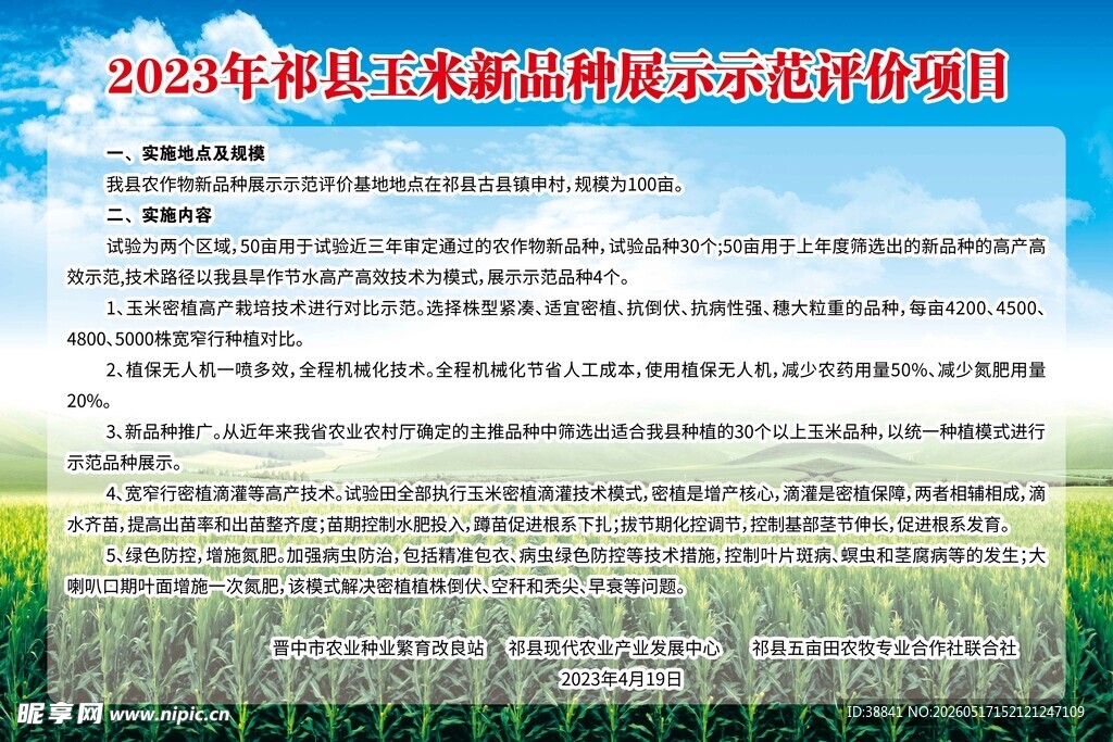 玉米新品种