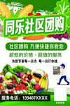 社区团购蔬菜