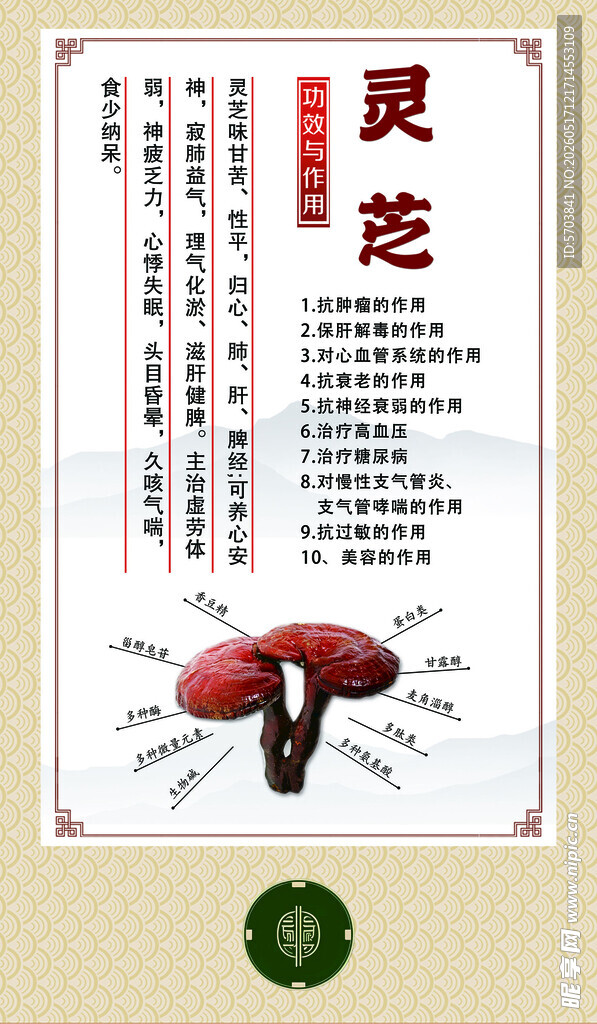 灵芝工效作用