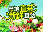 产地直采 新鲜直达 水果 采摘