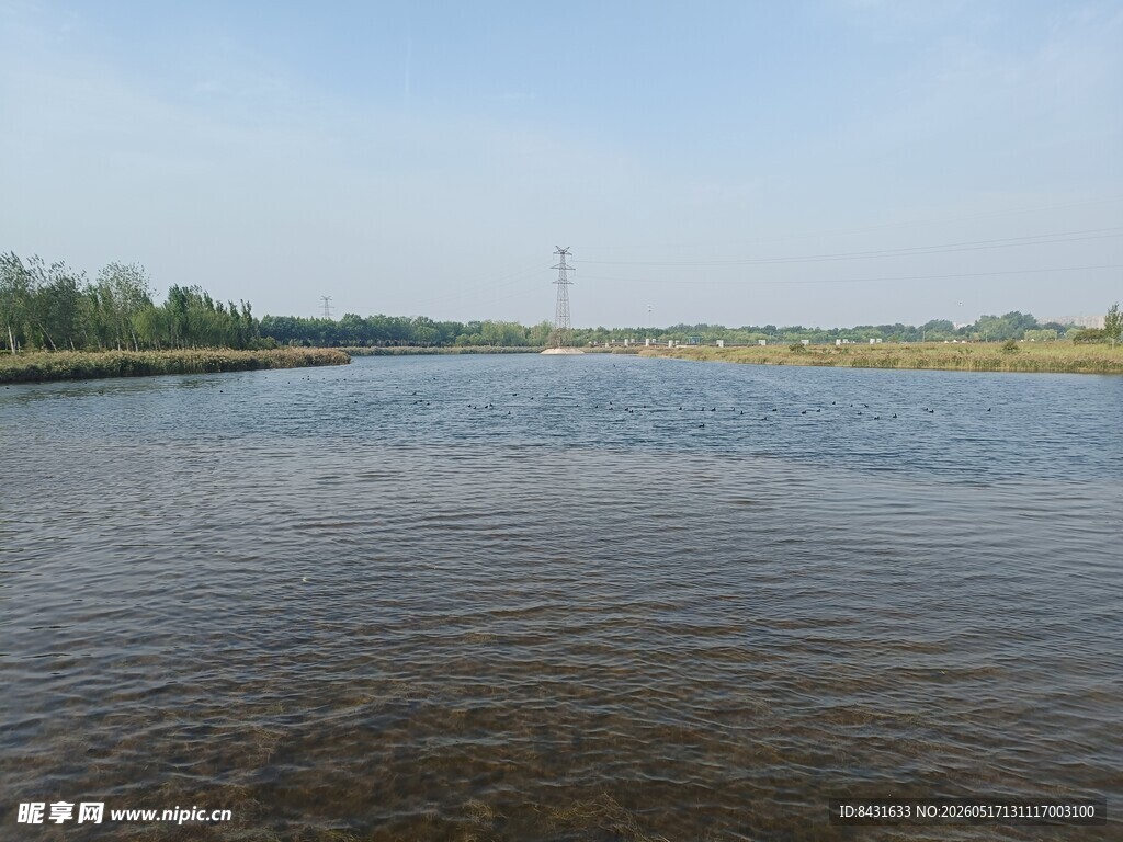 水波纹 湖面 清澈的水