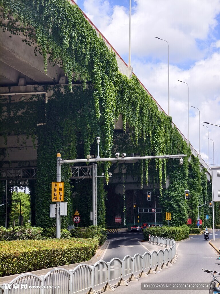 高架下的绿茵