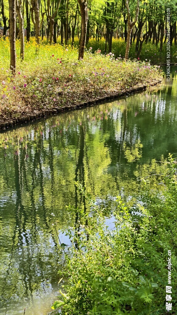 横沔公园的湖水