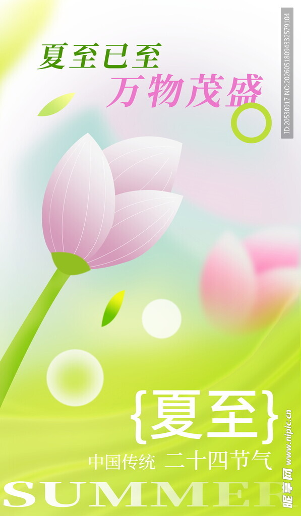 夏至时节花卉清新画面