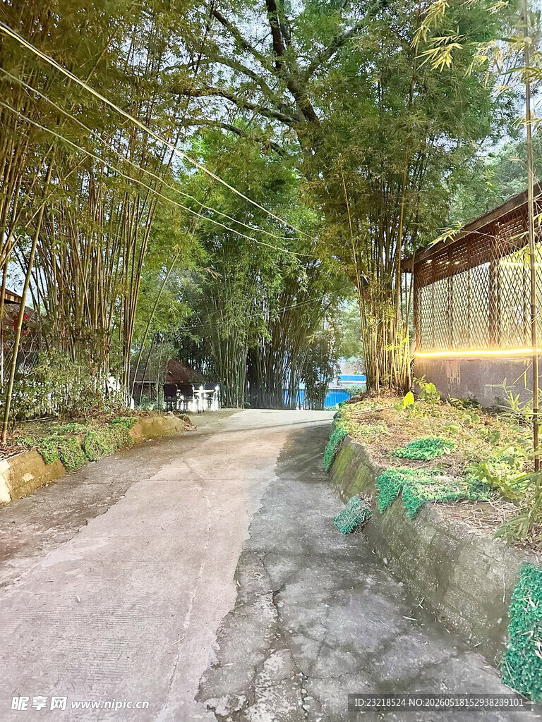 竹林