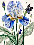 花卉插画