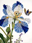 花卉插画