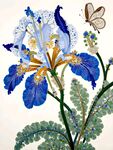 花卉插画