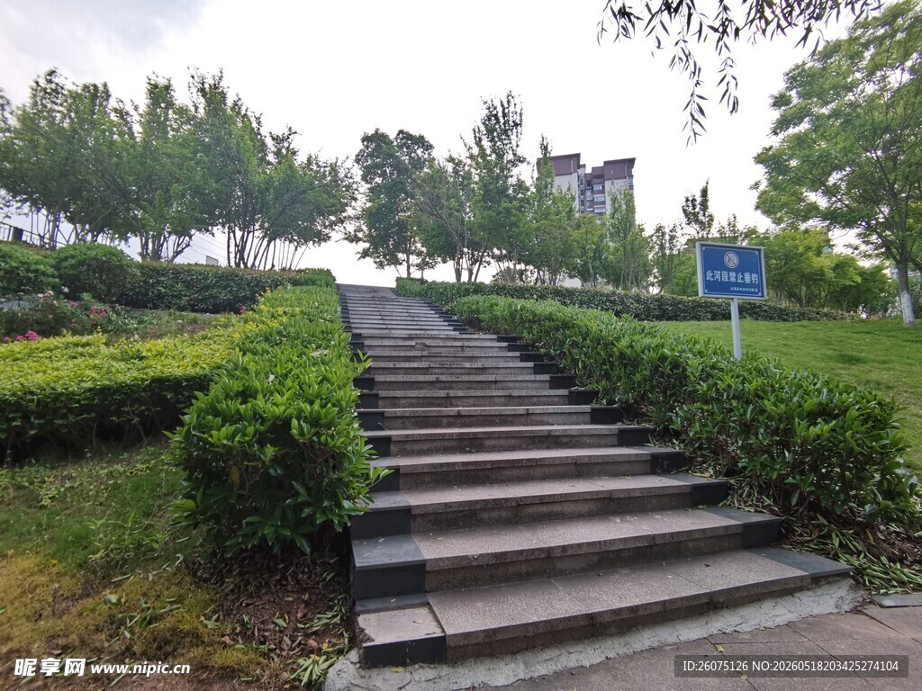 公园中蜿蜒的石阶步道