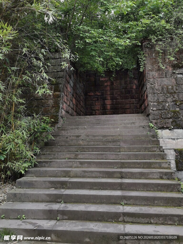 石径通幽处的林间台阶