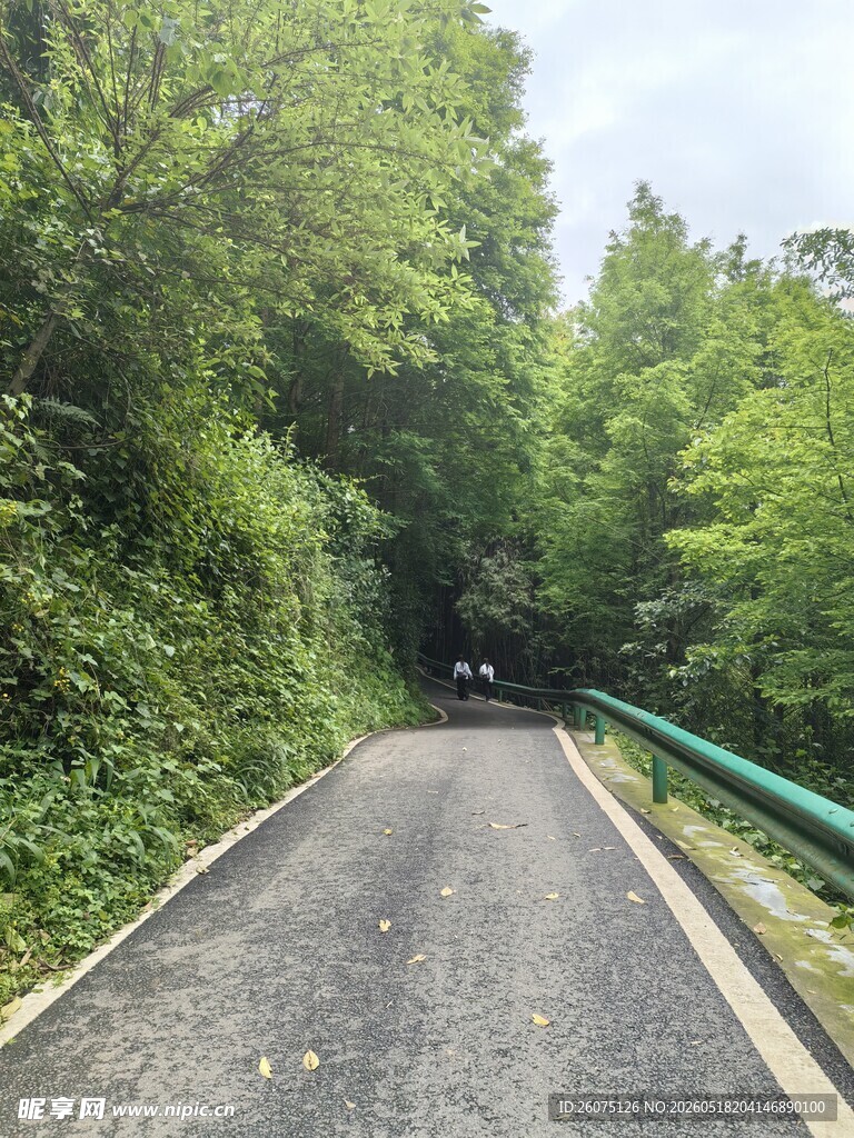 林间幽静小路