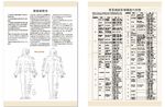 中草药穴位病症示例图