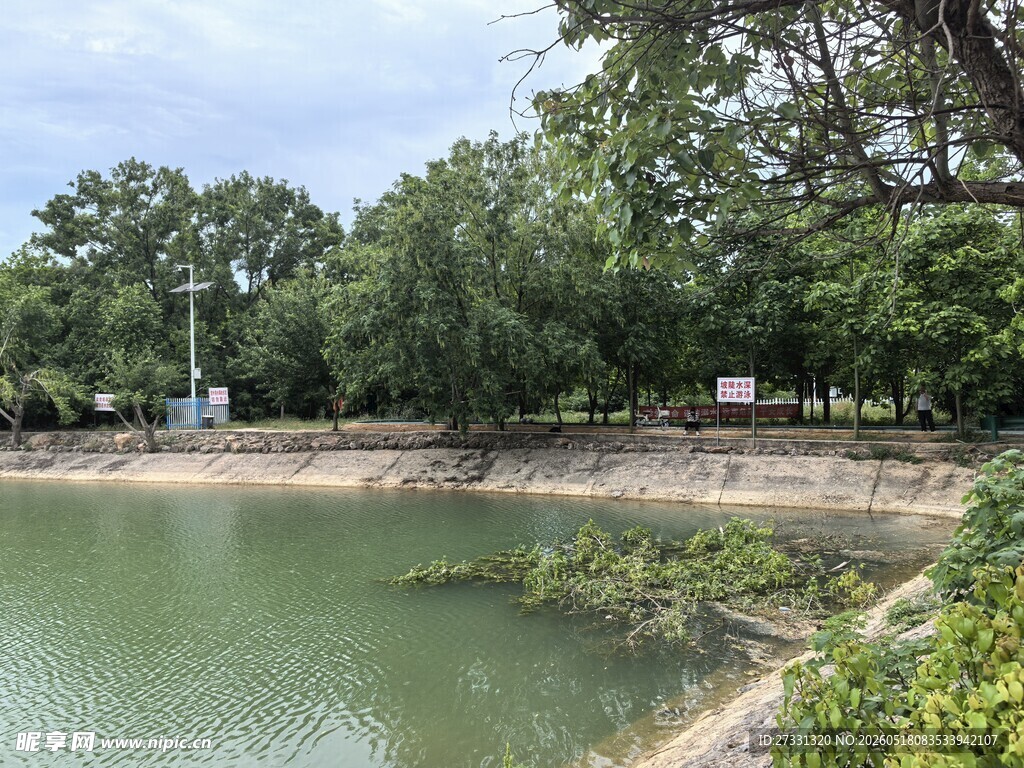 湖畔绿树环绕的宁静景致