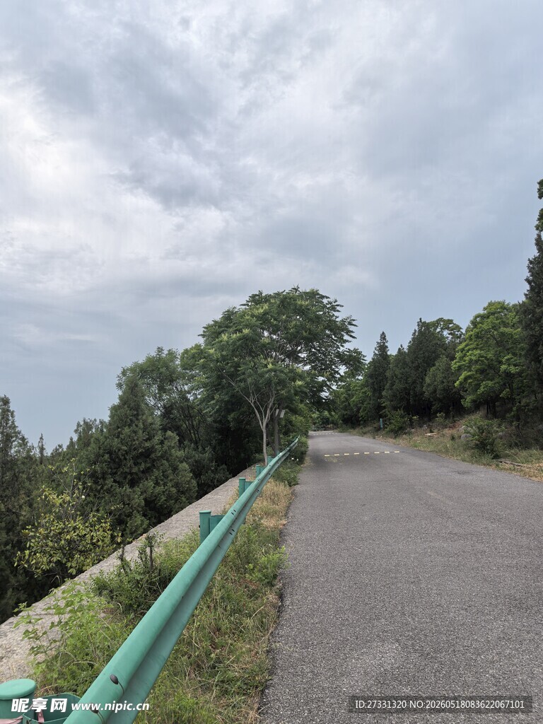 蜿蜒公路旁的葱郁景致