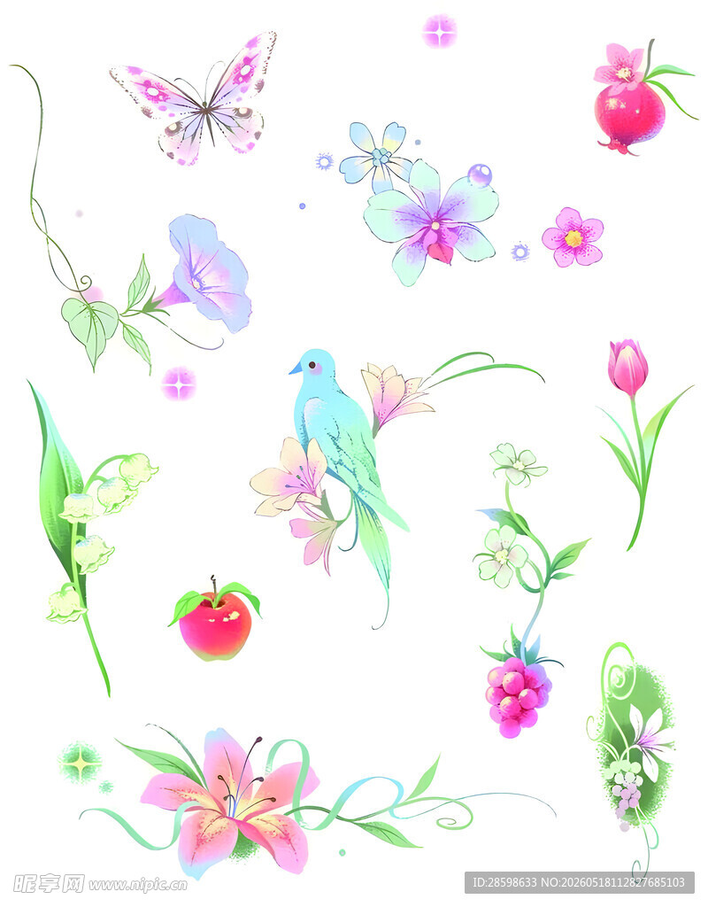 鸟
