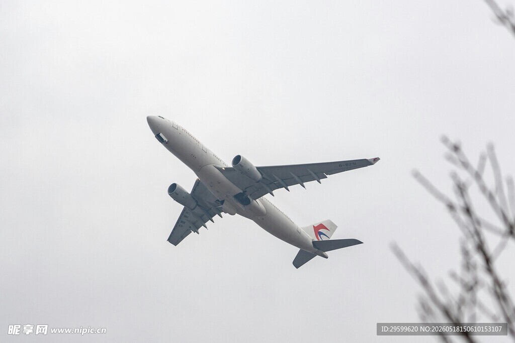 空中飞行的大型客机