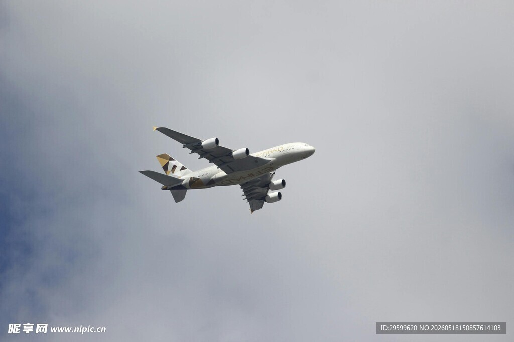 空中飞行的大型客机