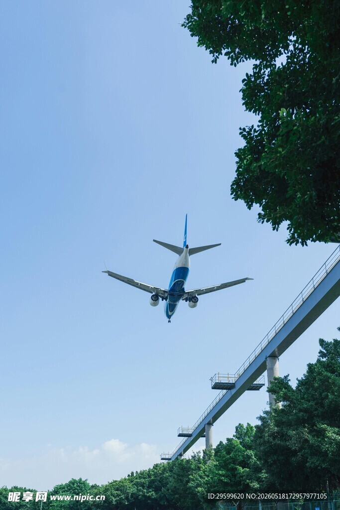 飞机低空飞过绿树蓝天