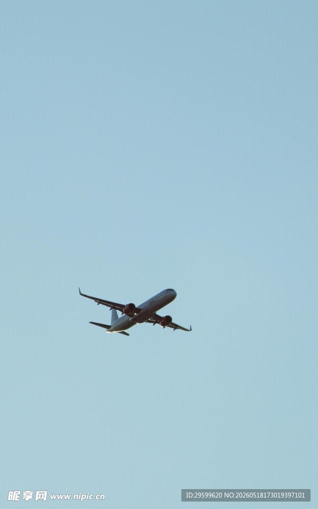 空中飞行的双引擎飞机