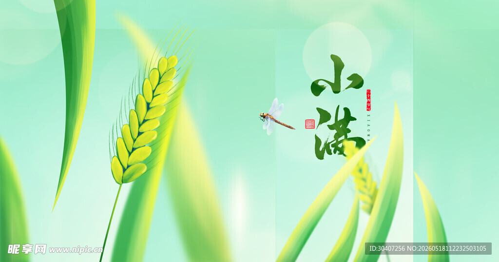 清新麦穗插画节气小满小虫点缀