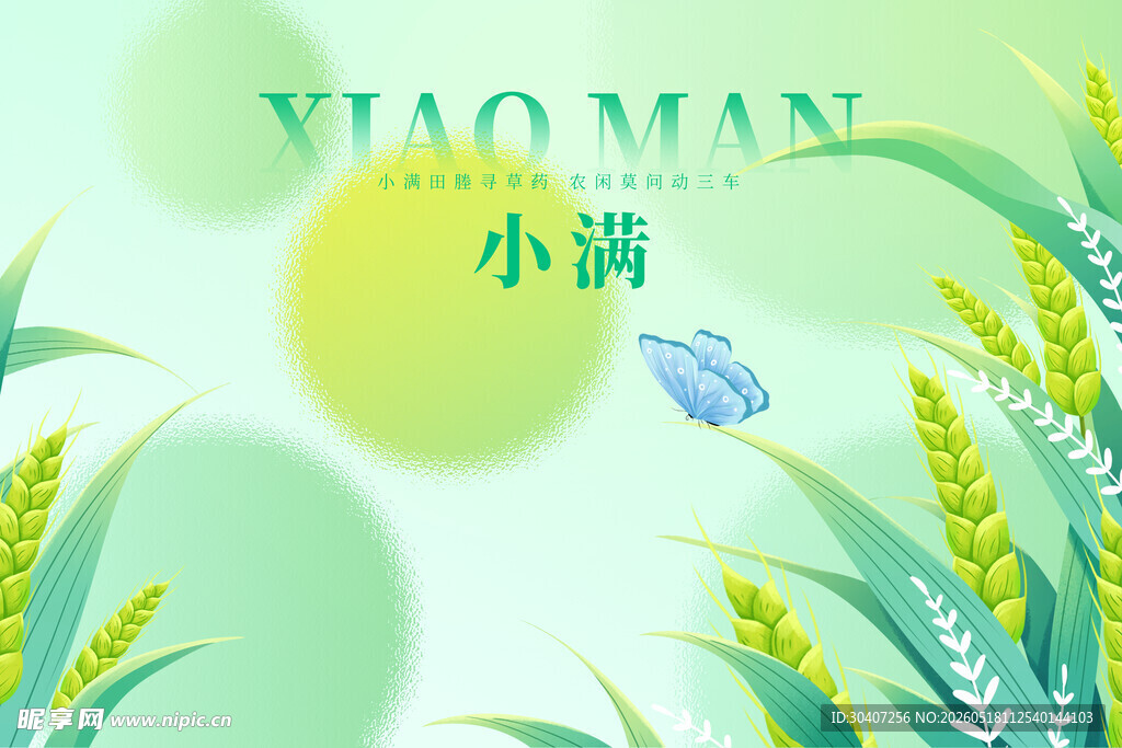 清新小麦背景图