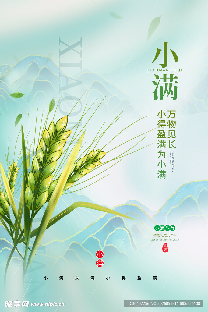 小满时节麦穗图