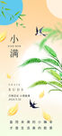 小满插画夏日清新氛围