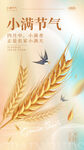 小满节气海报麦穗与飞鸟