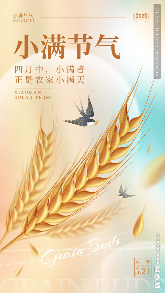 小满节气海报麦穗与飞鸟