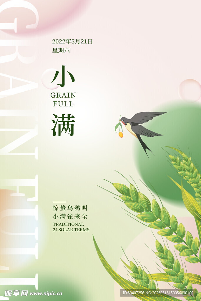 小满时节飞鸟伴麦穗