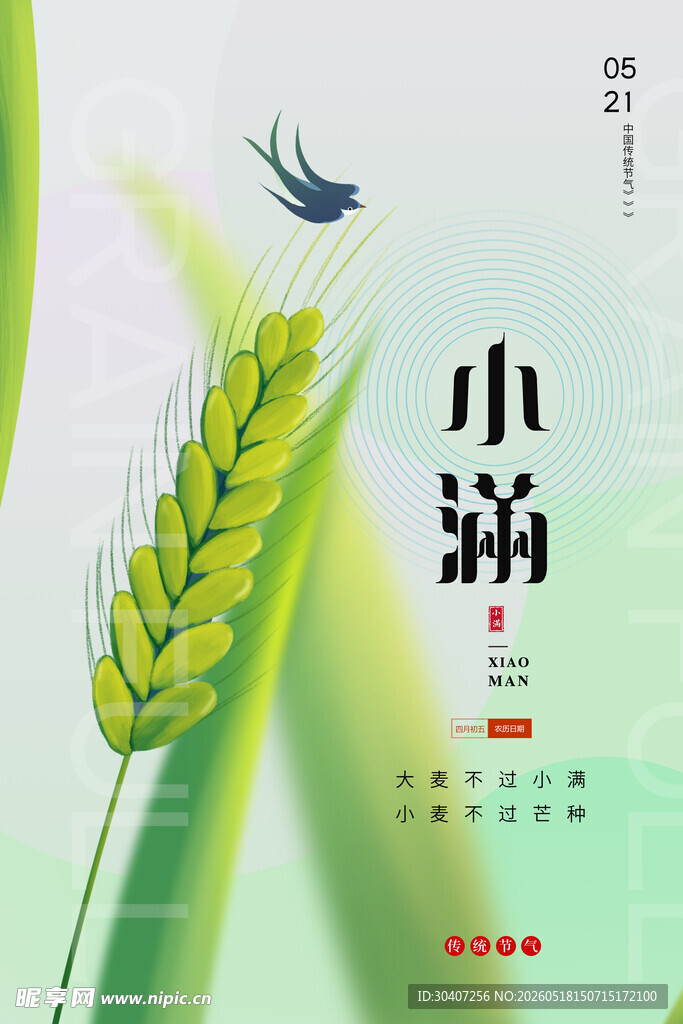 清新小满麦穗插画海报