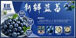 新鲜蓝莓宣传海报展示